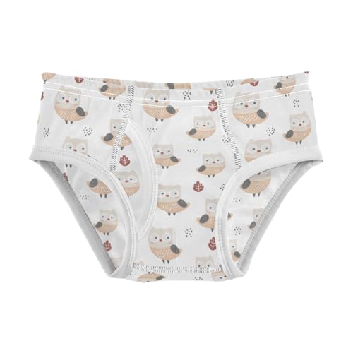 Boys' Exclusive Briefs Toddler Underwear 95% Combed Cotton Boxerbriefs 2T Owl Pattern 36