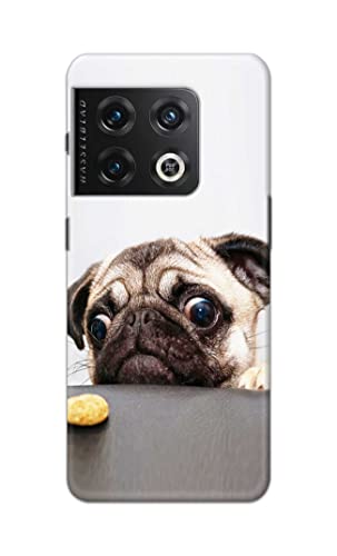 Image of PRINTFIDAA� Printed Hard Back Cover Case for OnePlus 10 Pro 5G Back Cover (Pug Dog) -2808