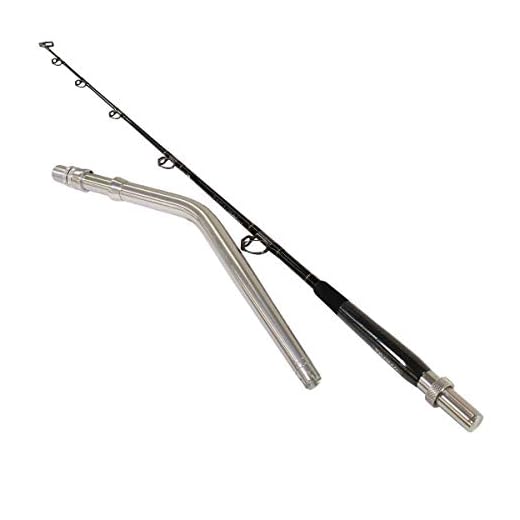 Daiwa TANACOM DENDOH Style HENGELS, Secties = 2, Lijn Wt.= 40-100, Lang