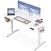 Produktbild OffiGo Höhenverstellbarer Schreibtisch, 120 cm Elektrischer Schreibtisch, Ergonomischer Tisch mit Memory-Funktion, Gaming Tisch Höhenverstellbar, Moderner Computertisch für Zuhause und Büro, Weiß