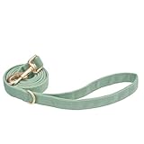 Petiry Soft Dog Lead with Gold Metal Clasp for Puppy Small Dogs,1.5cm x 150cm,Laurel Green,S - Image 4