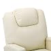 UnfadeMemory Sillon Masaje Reclinable con Sistema de Elevación,Sillón de Televisión,Sillon Relax de...