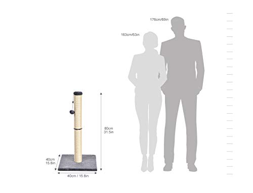 Amazon Basics Cat Scratching Post, Medium - Image 5