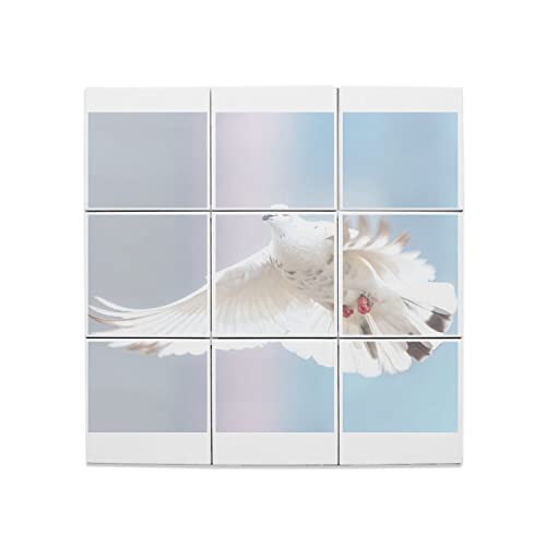 Carreaux céramique décoratif colombe blanche | Mosaïque murale oiseau de paix 60x60cm