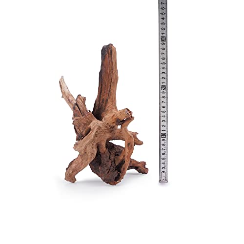 Landen Panna Natural Driftwood For Aquarium Decor Freshwater Fish Tank(12-14 Inches, 30-35Cm) 4Pcs Terrariums Vivariums Reptile And Amphibian Enclosures Lizard Bearded Dragon Tortoise Various Shapes #TOP1