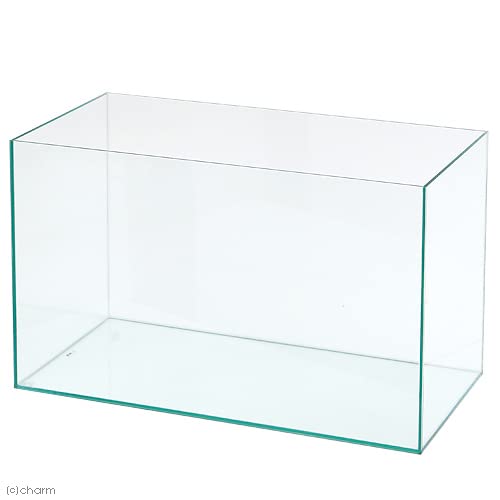 Amazon | GEX グラステリア 600ST お一人様1点限り 60cm