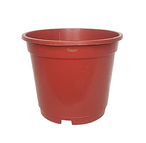 Image of Wonderland 8 inch Set of 3 Big Planter (Plastic Pots for Home Plants)
