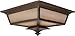 Craftmade Z1317-AG Argent Outdoor Flush Mount Ceiling Lighting, 2-Light 200 Watts (14"W x 7"H), Aged Bronze
