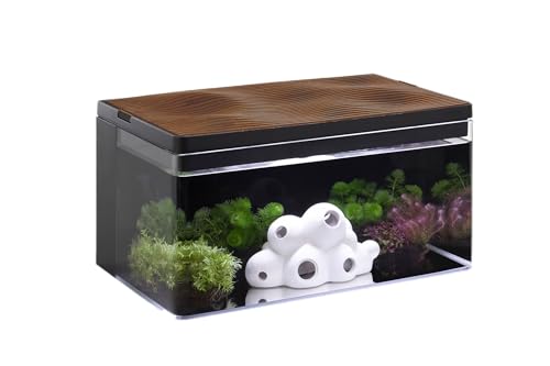Clairnara Harmony Deluxe 8 Gallon All-in-One Aquarium Kit, Award-Winning Fish