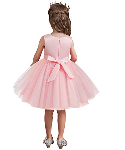 HIHCBF Girls Princess Butterflies Tulle Dress Embroidery Pageant Birthday Party Communion Wedding Evening Dance Ball Gowns3