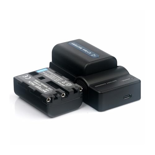 Cargador NP-FM55H con 2 baterías de 1600mAh de alta capacidad para DCR-TRV