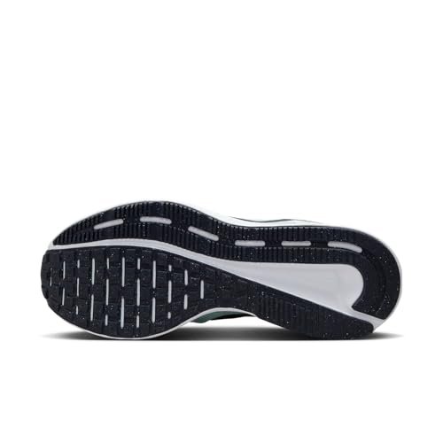 Image of Nike Women's Air Winflo 9 Sneaker