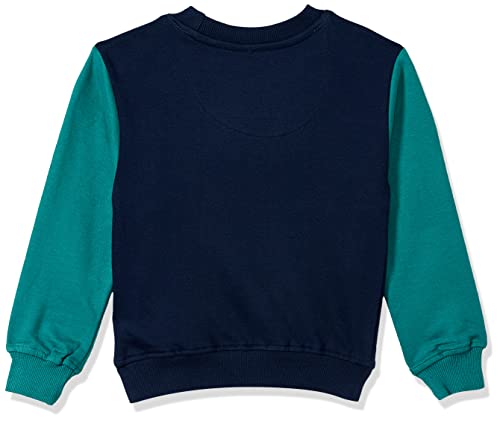 Image of Boys Cotton Turtle Neck Sweatshirt