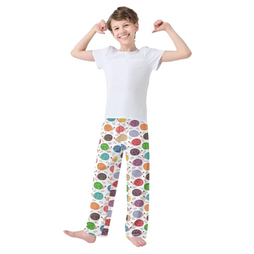 ZZXXB Colorful Hedgehog Print Boys Long Pants Soft Trousers Elastic Waist Kids Lounge Bottoms with Pockets S-XL2