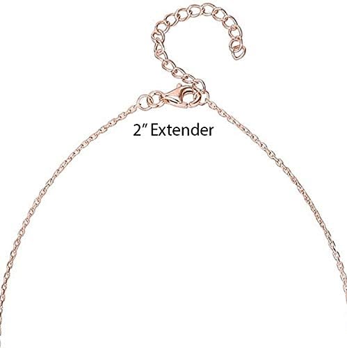 PAVOI 14K Gold Plated 1.00 ct (D Color, VVS Clarity) Simulated Diamond CZ Bezel-Set Solitaire Choker Necklace 16" - 18