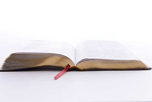 KJV, Reference Bible, Personal Size Giant Print, Bonded Leather, Burgundy, Red Letter Edition: King