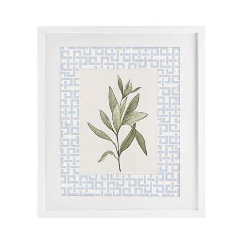 Stupell Industries 'Leafy Fresh Herb'�A�z����v�����g �K���X���A�z���C�g�A33 x 16�C���`�A�|���₷�����A�č����ADiannart��