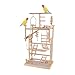 Bothyi Pet Parrot Playstand,Parrot Playground Climb Playing Gym Toy,Playpen Bird Play Stand,Wood Bird Perches Stand for Budgie Lovebird