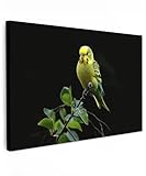 MuchoWow© Cuadros Decoracion Salon Modernos 30x20 cm para Dormitorios Cuadro Decorativos de Salon Lienzos Decorativo Pared Comedor Decoracion Pasillo Periquito - Rama - Hojas - Amarillo