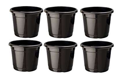 Gauris Plastic Round Nursery Seedlings Pots (25 Pcs, 3inches, Black) | Plant Seed Starting Pots | Garden Plant Pots for Indoors & Outdoors | Planting Pots for Balcony (B0BXJDXFYX) Amazon Price History, Amazon Price Tracker