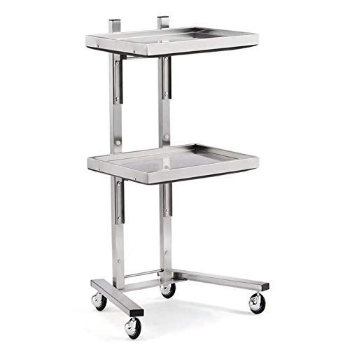 Chariot de coiffure 2 niveaux pour l'organisation de vos outils de coiffeur
