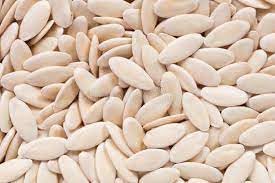 Shine Organic Cucumber Seeds for Eating | Kheera Magaz | Kheera Seeds | - (100 GM) Beej Khira,High in Protein.Nutrients Rich 1