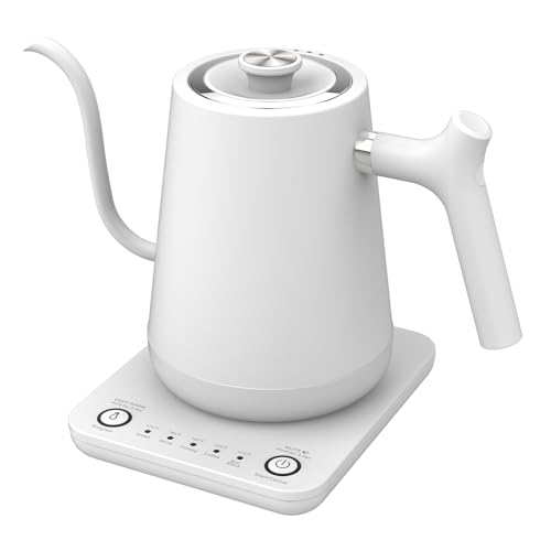 Gooseneck Electric Tea Kettle