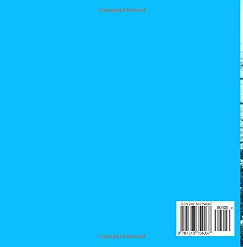 Sarah Builds a Sandcastle