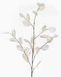 Dekozweig Lunaria | Creme | 105cm