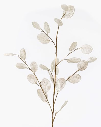 artplants.de Dekozweig Lunaria Zweig BUELNA, Creme, 105cm - Kunstzweig/Silberblatt künstlich