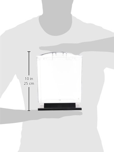 GloFish Aquarium Kit 1.5 Gallons, Easy Setup and Maintenance, Perfect Starter Tank, Model:29236