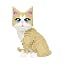 Golden Shorthair