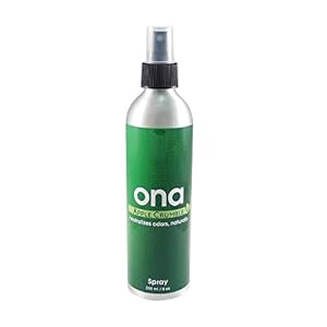 Ona Apple Crumble Spray voor kieming 250 ml