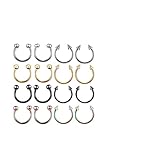 NOLITOY Piercings Resistentes y Decorativos en Estilo Variado de Acero Inoxidable 16piezas Diseño C para del del Piercing