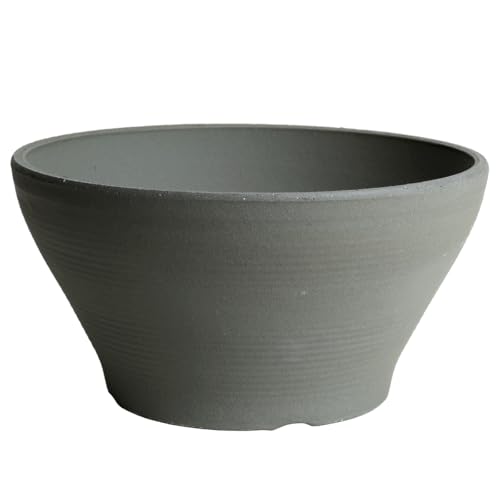 サザンカ 寄せ植え 鉢（7.5号）