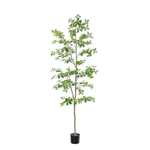 Bellacat Faux Black Olive Tree 7ft, Tall Faux Trees Indoor with Natural Trunk and Realistic Leaves. 7 Feet(84in) Artificial Tree for Home Office Décor.