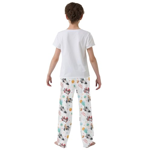ZZXXB Happy Birthday Raccoon Boys Long Pants Soft Trousers Elastic Waist Kids Lounge Bottoms with Pockets S-XL3