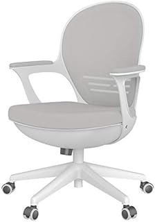 NNDQ Silla de Escritorio Gris, Silla de recepción Serie Egg con Brazos y Altura Ajustable Adecuada, para Trabajar con computadora, reunión, Lugar de recepción