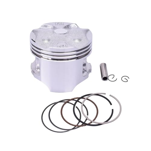 48.5mm .75mm 49mm 49.25mm STD~+100 s 13mm I[goCGWsXgOLbg CBR250 MC19 KY1 CBR 250p(1 Set 48.50mm)