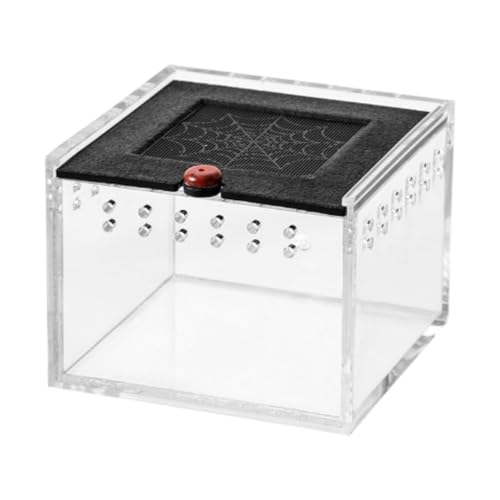 predolo ঒ޗpa{bNX P[W GN[W |[^u wr{bNX ঒ރeE nX^[ JCRpi, NA