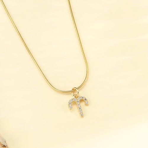 Image of SALTY Anti Tarnish Zodiac Sign Pendant Necklace for Women Men | Stylish Locket Neck Chain | Fashion Jewellery Accessories for Girls Boys | Minimal Jewelry | Ideal for Gifting | Gift for Diwali, Christmas, Marriage, Birthday