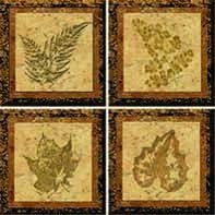 Fossil 4-Piece Peel and Stick Tile Décor