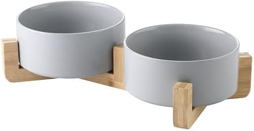 Rutexc ؐX^htZ~bNybg{EAt[h{EAEH[^[{EA~߁A萫AO\AȒPAybgpi