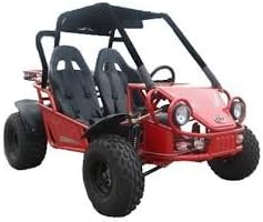 2013 Kandi 150cc Go Kart (Kd-150gkr-2)