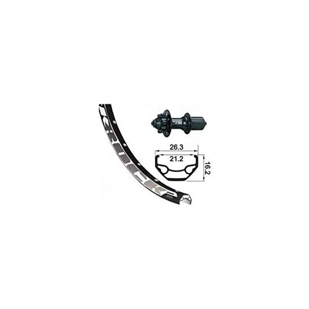 XLC Ruota posteriore Rodi Black Rock Disc Evo 6 fori 8-10 velocità