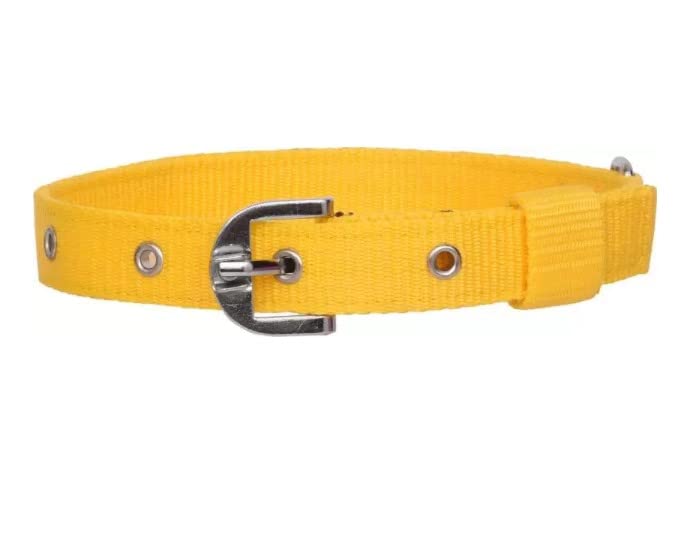 JAPIN Soft Pet Collar Belt for Dogs (Size: 1.25 inch) (B0BR3HZ1TZ) Amazon Price History, Amazon Price Tracker