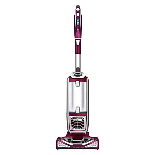 Rotator Powered Lift-Away Deluxe Vacuum Color: Brass/Silver
