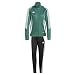 Produktbild adidas Damen Trainingsanzug Tiro 24 Team Dark Green/White L