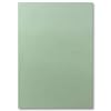 FarbenFroh door Gustav Neuser Enveloppe, 100 x DIN A4 papier, eucalyptus (groen), 110 g/m², 21 x 29,7 cm, knutselpapier…