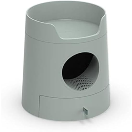 秋のヤママユ標本セット(ボール紙箱ごと)多数（約20匹） 【公式通販】